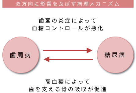 双方向に影響を及ぼす病理メカニズム